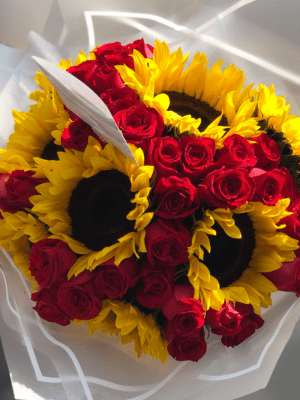 Girasol deslumbrante