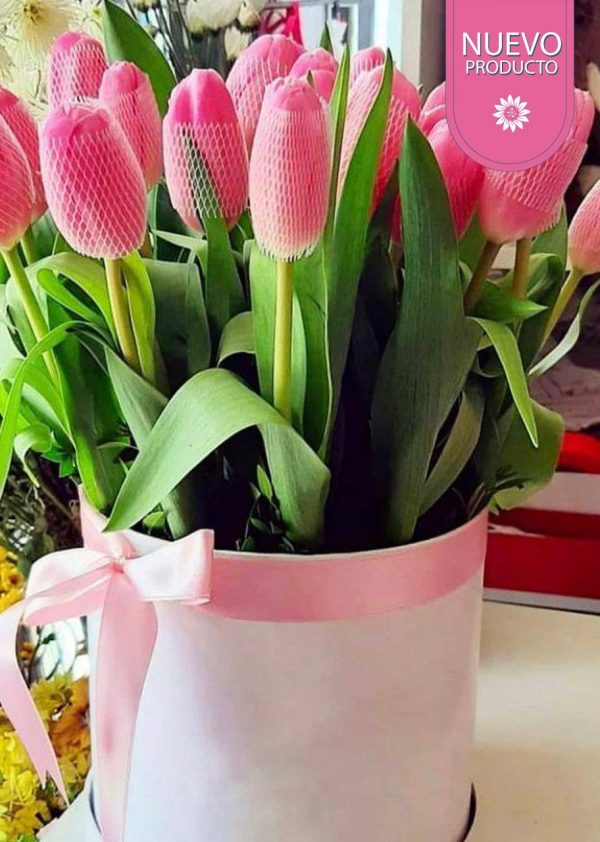 P12-1 Susurro de tulipan