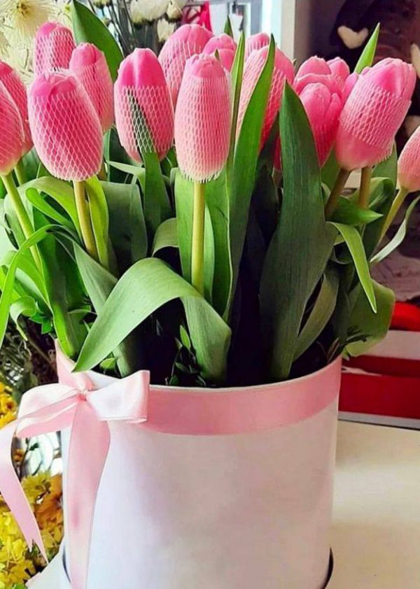 P12-1sl Susurro de tulipan