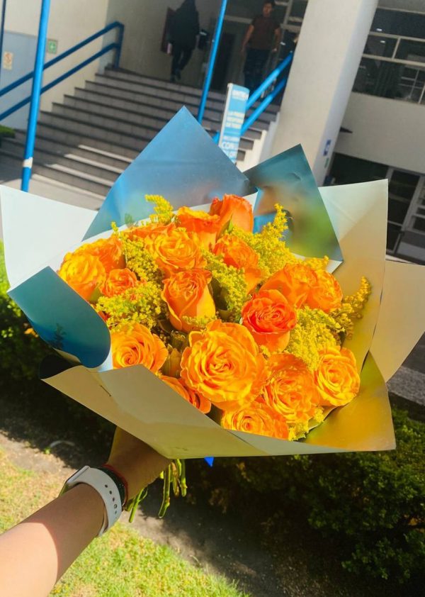 archP8-1SL Sol en flor