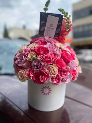 WhatsApp Image 2025-01-24 at 2.30.32 PM Apapacho de amor