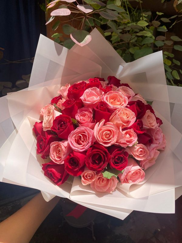 WhatsApp Image 2025-01-24 at 2.30.33 PM (4) 100 motivos