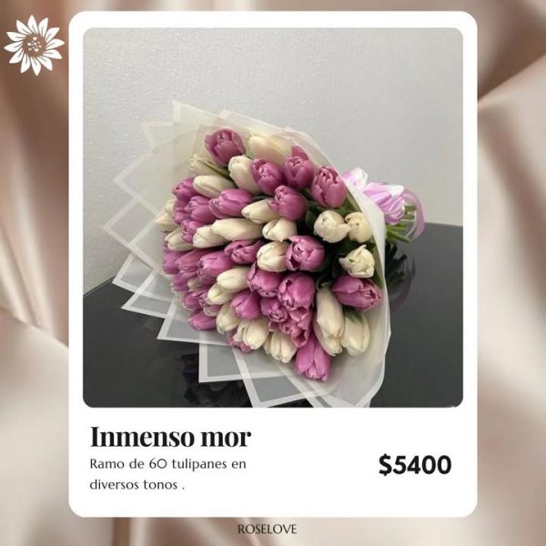 Imagen de WhatsApp 2025-01-29 a las 09.26.57_4423348c Inmenso mor