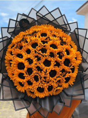 Campo dorado Campo Dorado