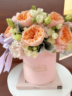 Para el alma Para el alma